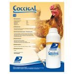 Ficha producto Coccigal