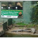 Aviso Informativo para el Zoológico Las Delicias