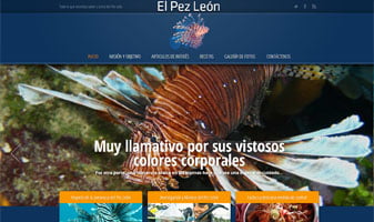 Diseño de Página Web en Caracas - El Pez Leon