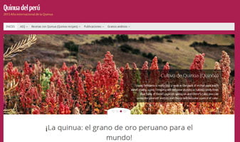 Dieño de página web en Perú - quinua del peru