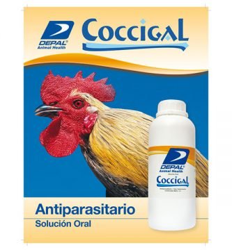 Coccigal-1_