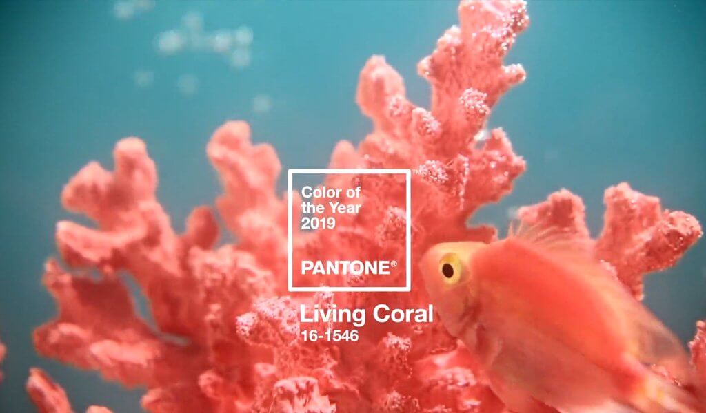 Living Coral es el Color del 2019